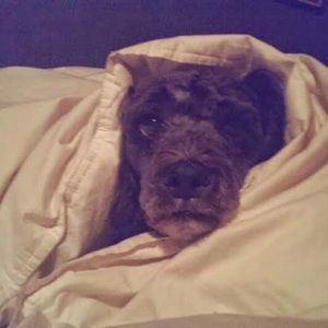 Meet your Posher, Kelsey